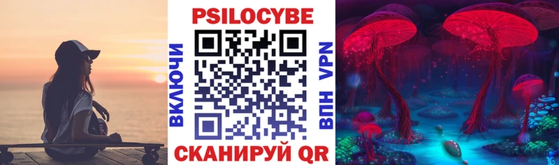 наркотики  Саянск  shop как зайти  Псилоцибиновые грибы мухоморы 